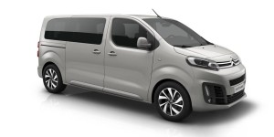 CitroenVare (2)